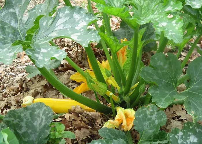 Bienvenue Dans Notre Petit Paradis * Pelleport