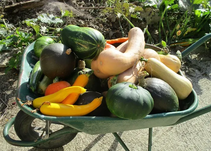 Bienvenue Dans Notre Petit Paradis