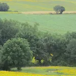 Проживание в семье Bienvenue Dans Notre Petit Paradis *