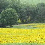 Bienvenue Dans Notre Petit Paradis Pelleport