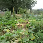 Bienvenue Dans Notre Petit Paradis Pelleport