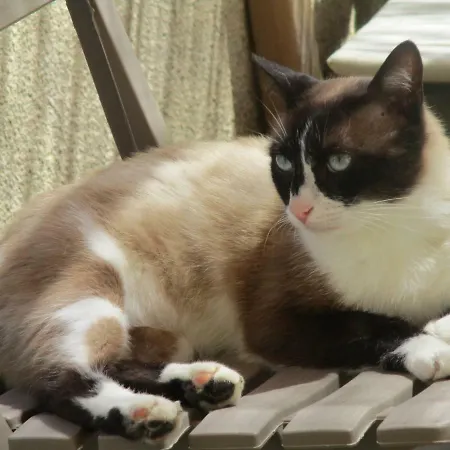 Bienvenue Dans Notre Petit Paradis * Pelleport