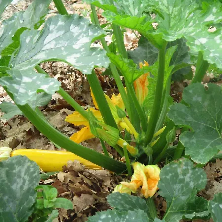 Bienvenue Dans Notre Petit Paradis * Pelleport