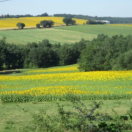 Bienvenue Dans Notre Petit Paradis 民宿