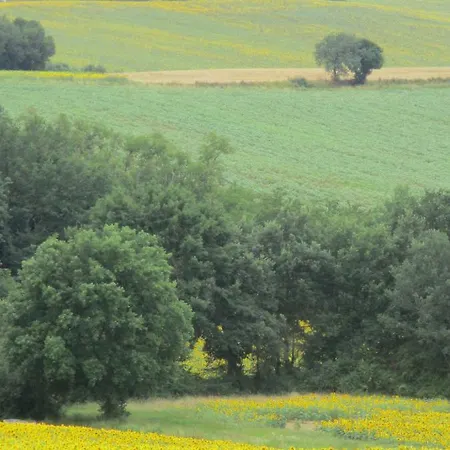 Privat bolig Bienvenue Dans Notre Petit Paradis *