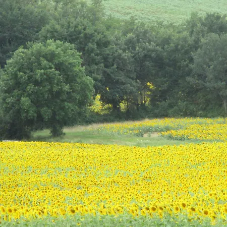 Bienvenue Dans Notre Petit Paradis Pelleport