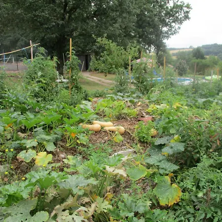 Bienvenue Dans Notre Petit Paradis Pelleport