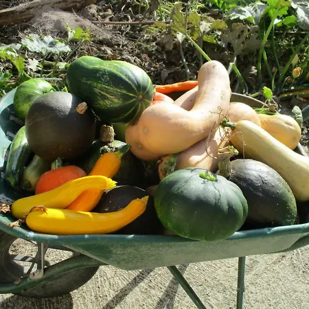 Bienvenue Dans Notre Petit Paradis