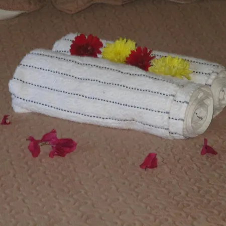 Bienvenue Dans Notre Petit Paradis 民宿 *