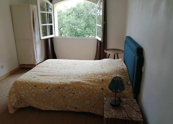 Pansiyon Bienvenue Dans Notre Petit Paradis