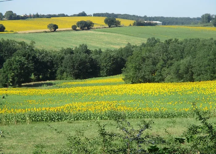 Bienvenue Dans Notre Petit Paradis Pansiyon