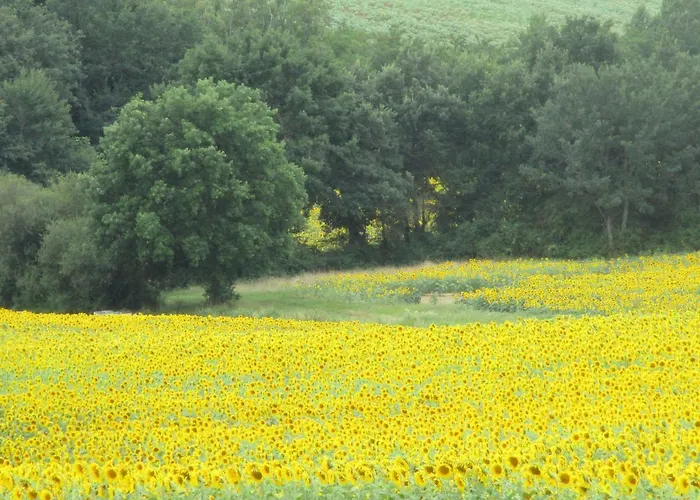 Bienvenue Dans Notre Petit Paradis Pelleport