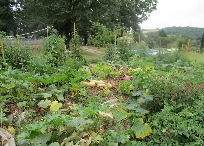 Bienvenue Dans Notre Petit Paradis Pelleport