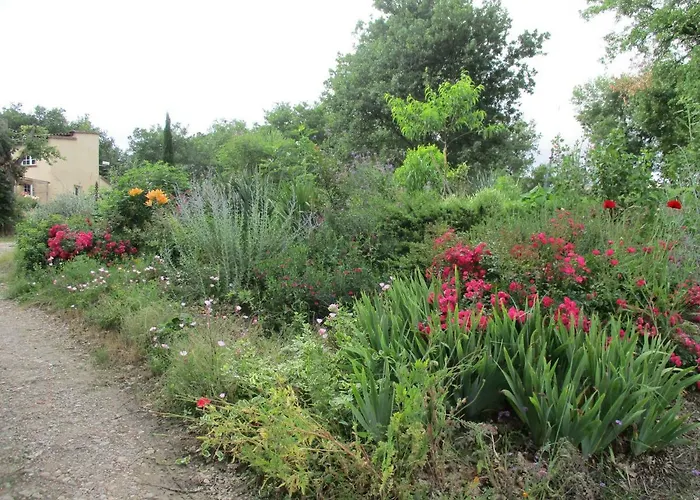 Pansiyon Bienvenue Dans Notre Petit Paradis